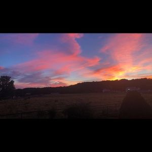 Meet your Posher, Miya